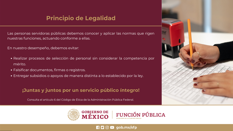 Principio de la legalidad
